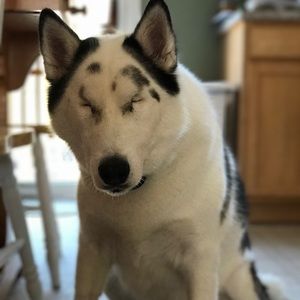 Meet your Posher, Jillian